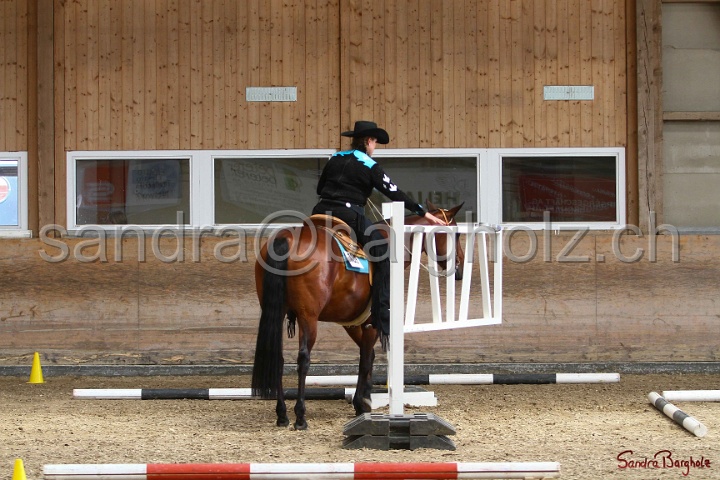 28-ApHC OT_309.jpg
